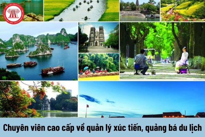 Hotspot Matrix: Cơ hội nghề nghiệp vàng trong ngành video ngắn