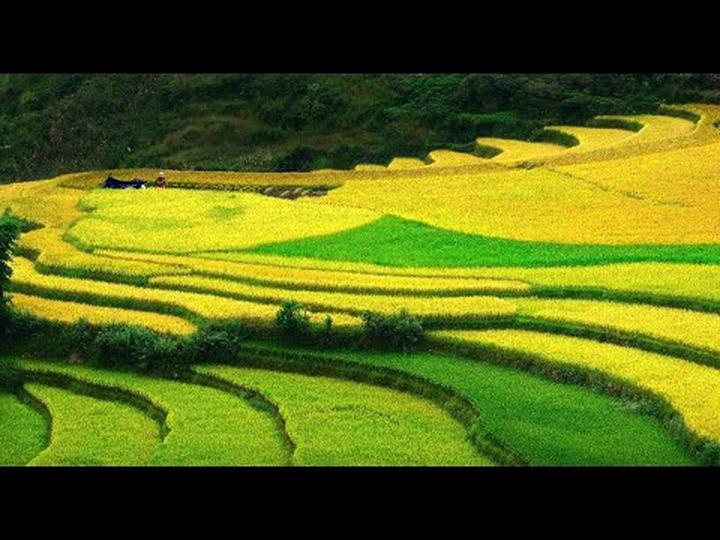 Hotspot Matrix: Bước Ngoặt Cho Nhà Đầu Tư Khởi Nghiệp Video Ngắn