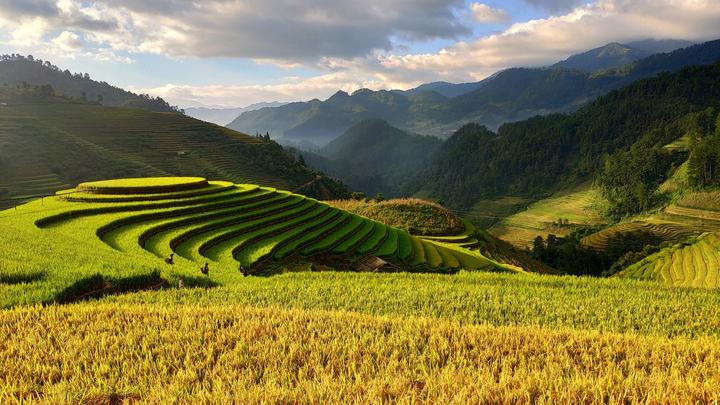 Xu hướng 3 kiểu giày
