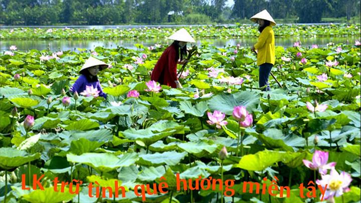 Hotspot Matrix: Hành trình chinh phục đỉnh cao video ngắn